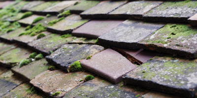 Whitmore roof repair costs